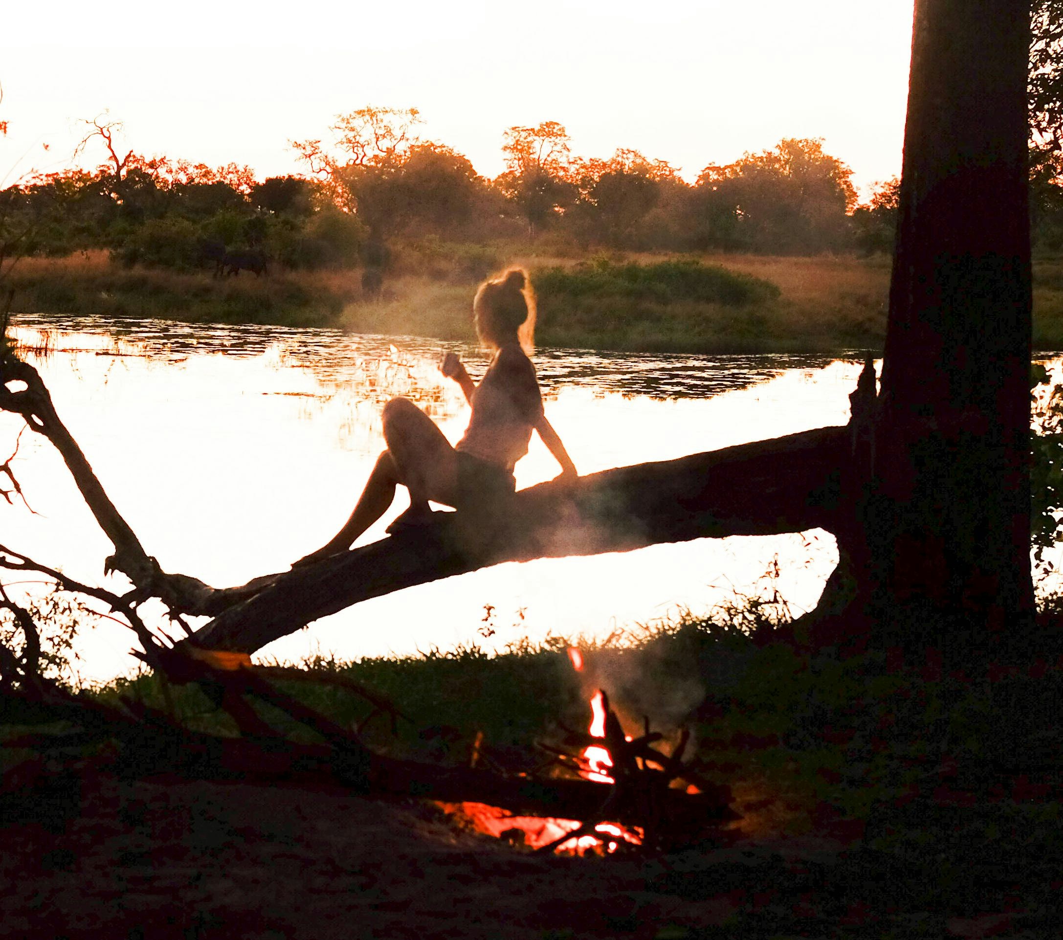 Go to Sophia Louw's profile