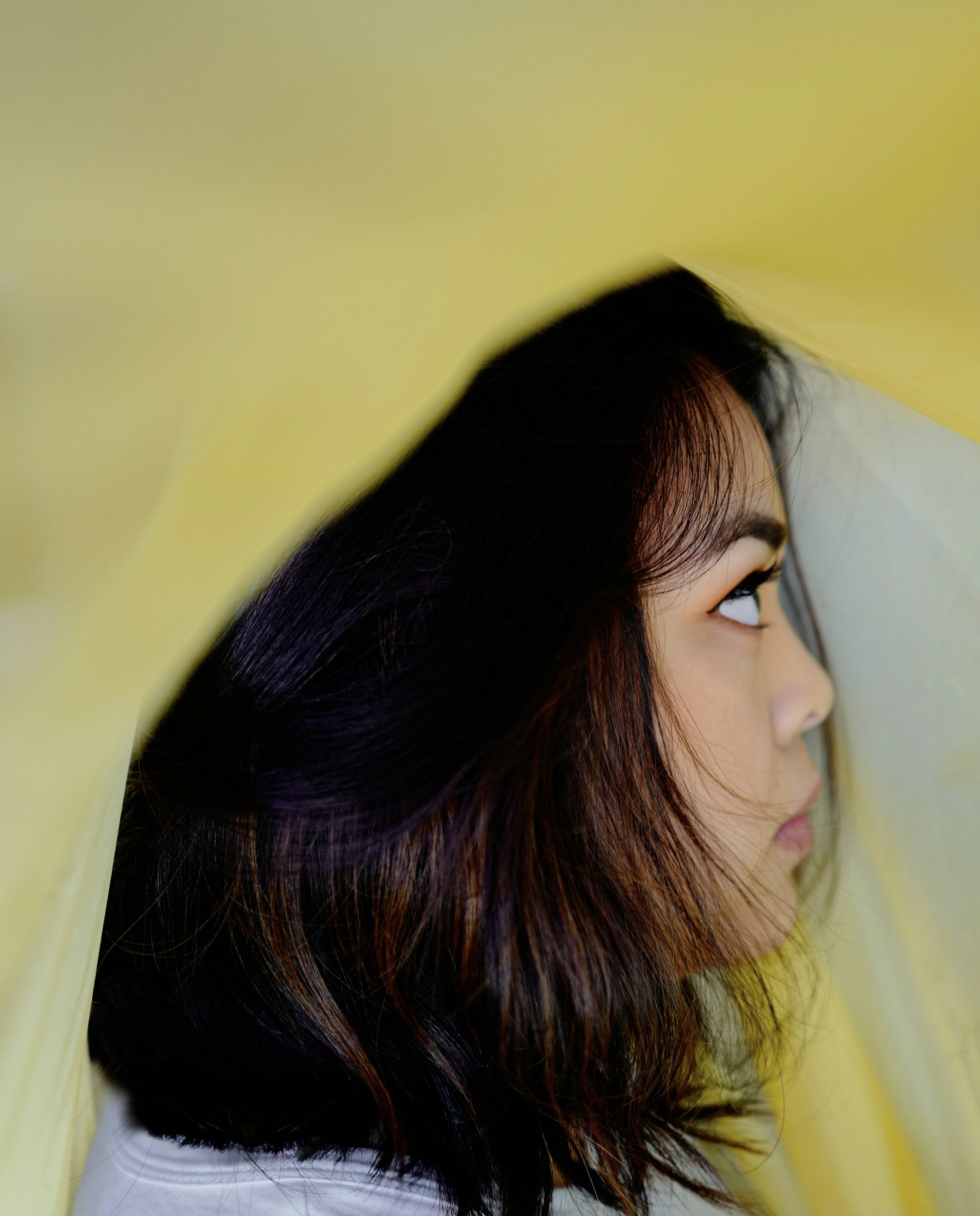 Avatar del usuario Kristen Colada Adams