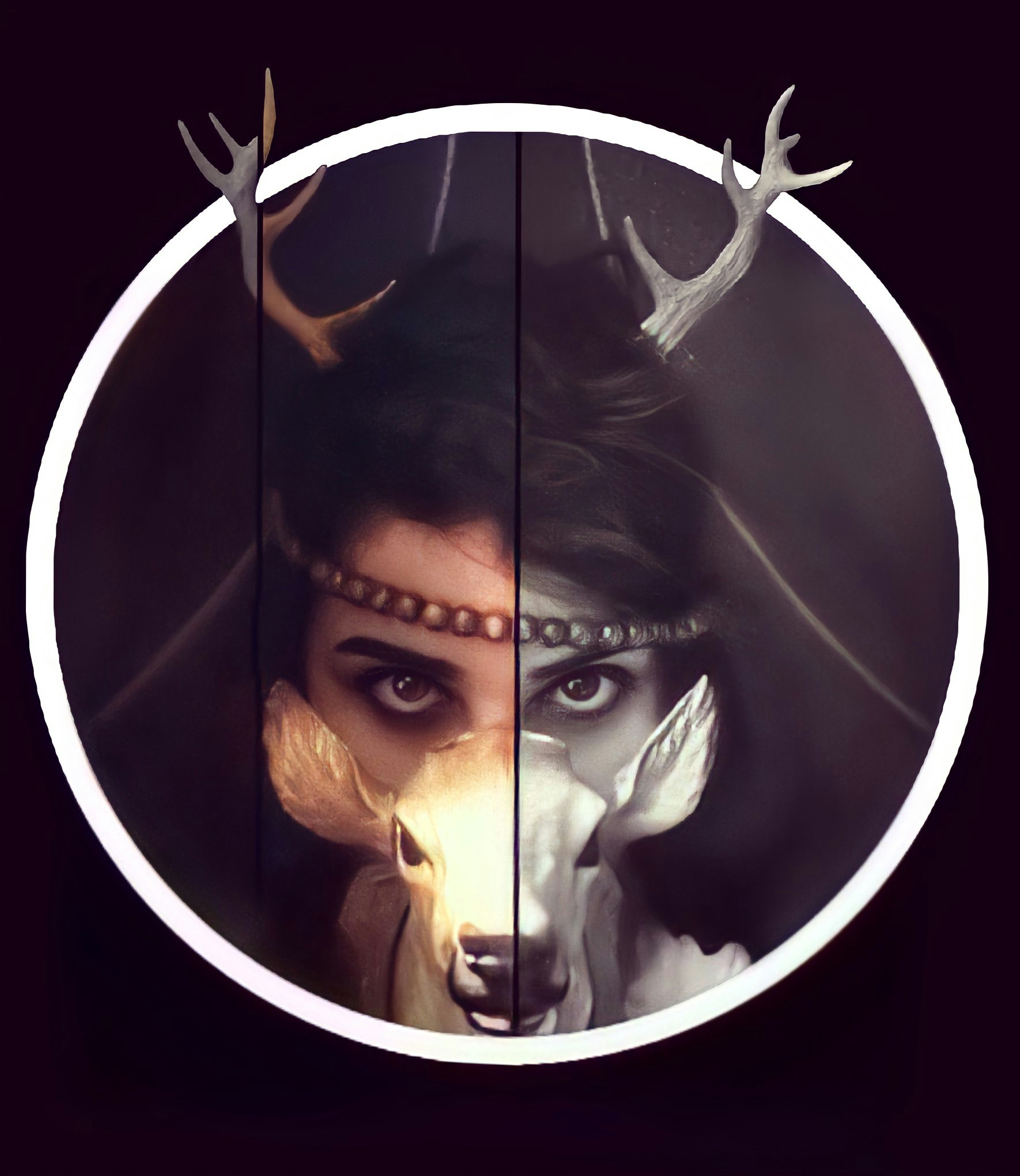 Go to sheida sardashti's profile