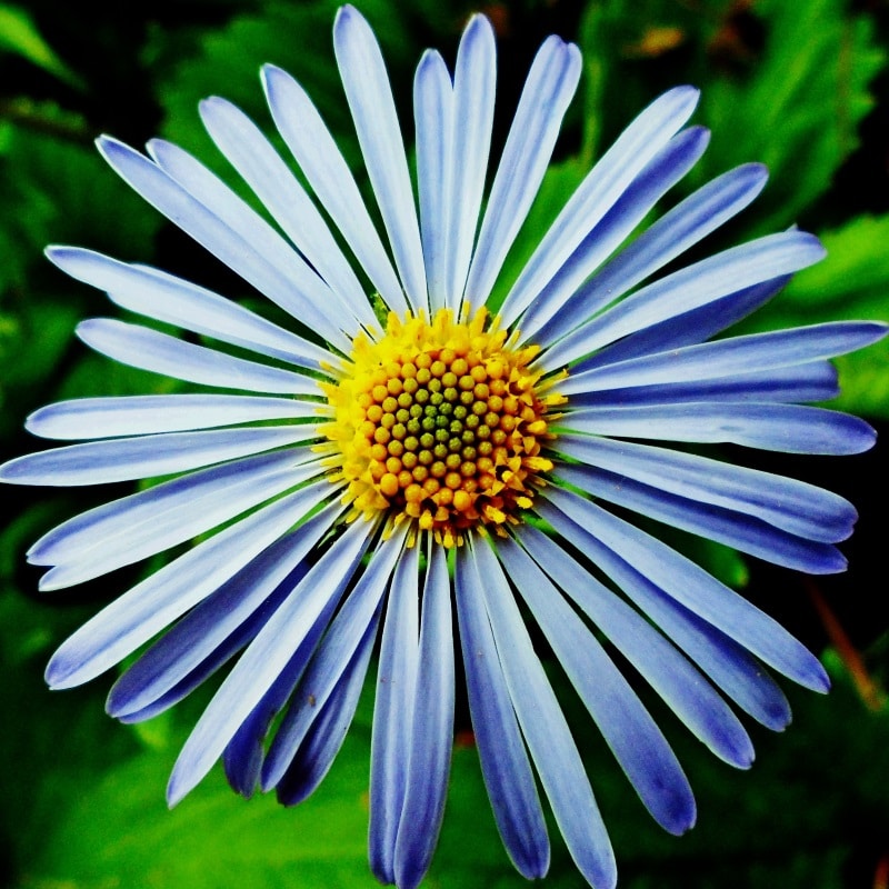 Go to alek6xi86's profile