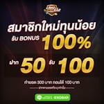 Avatar of user SLOTXO online slots