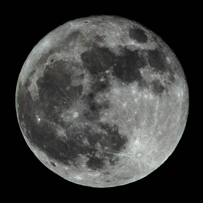 Go to Tyler Olson's profile