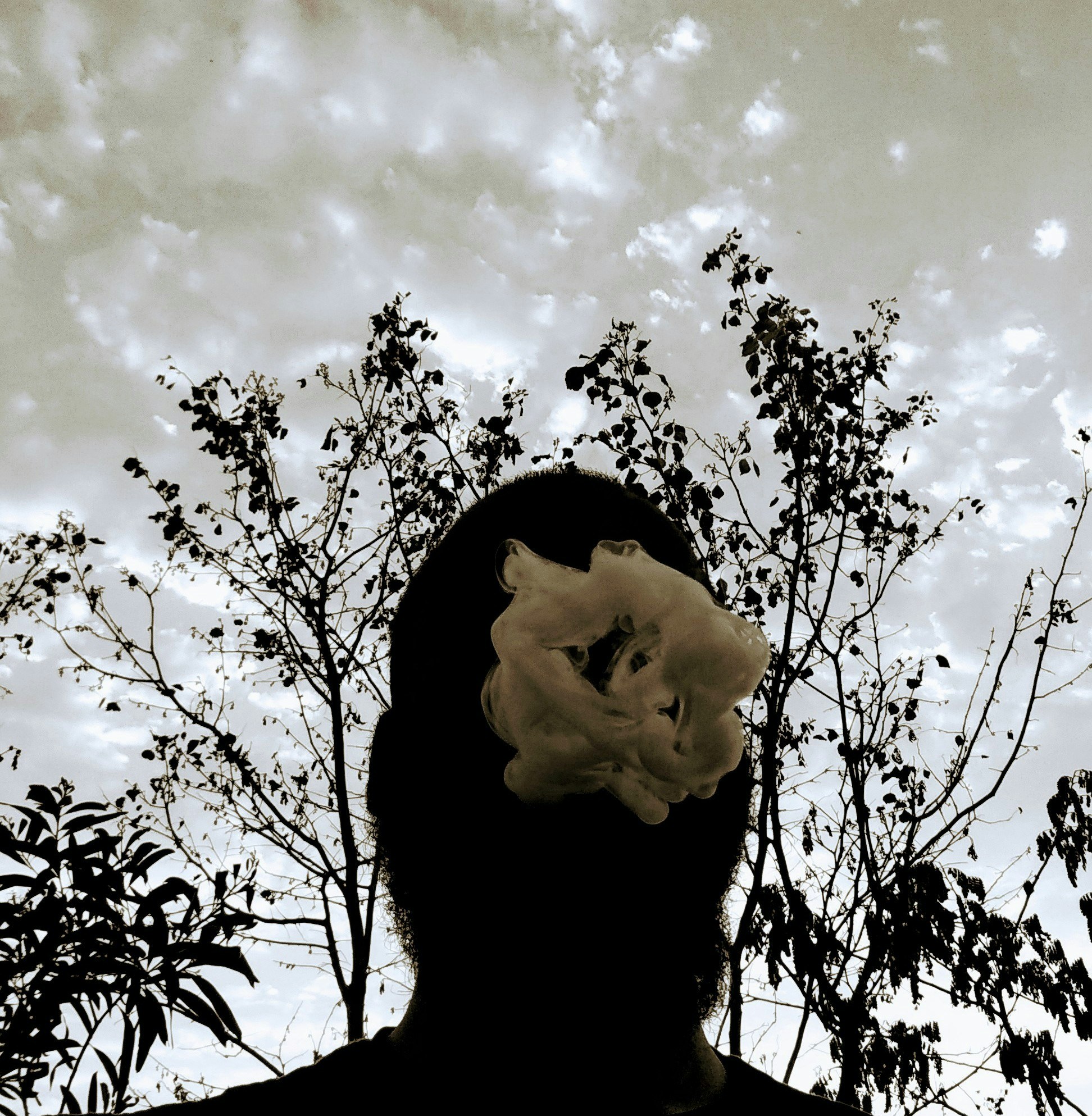 Zum Profil von Aritras Saha