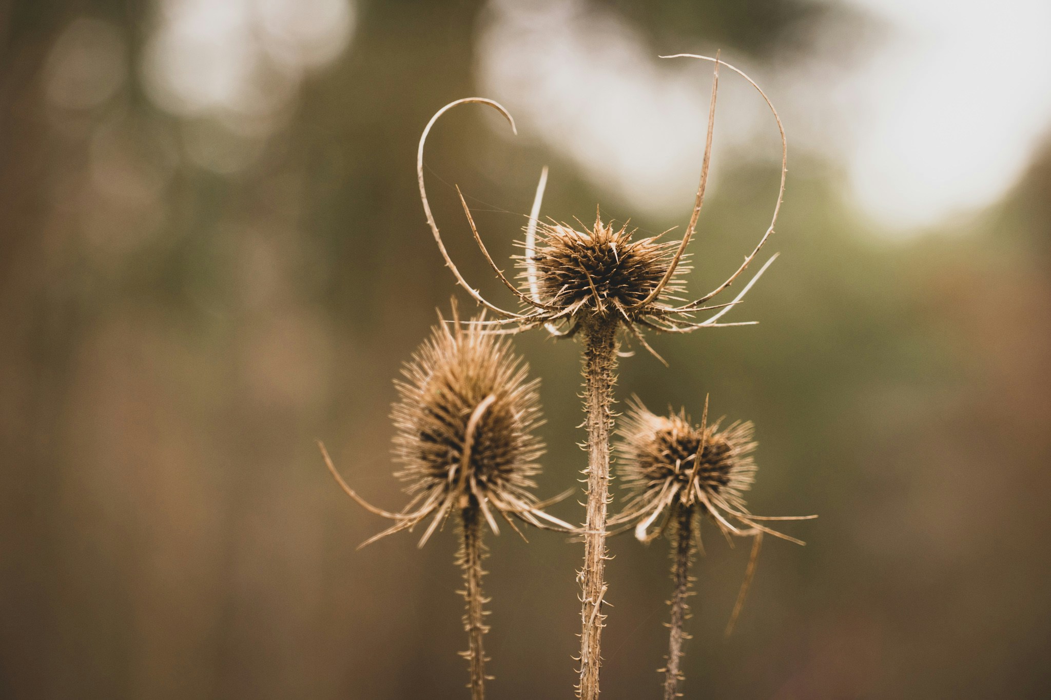 Ir para o perfil de Rachel Hig