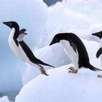 Go to Jérôme Boursier's profile