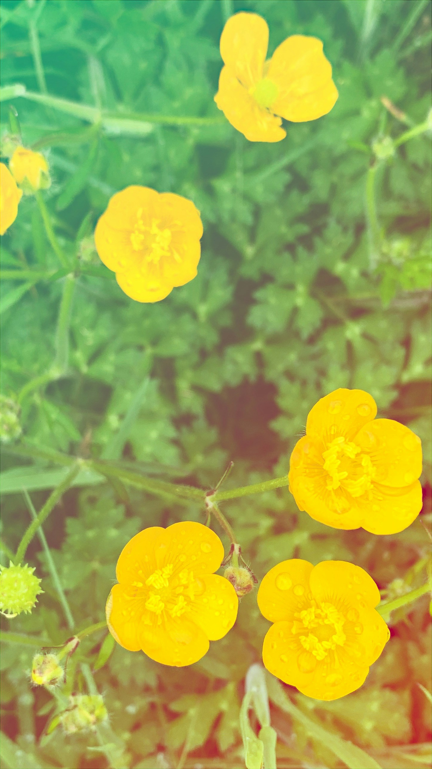 Go to Christian Beyer's profile