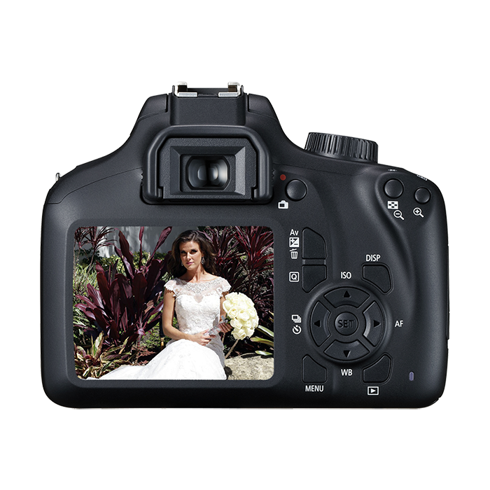 Zum Profil von microfile. org