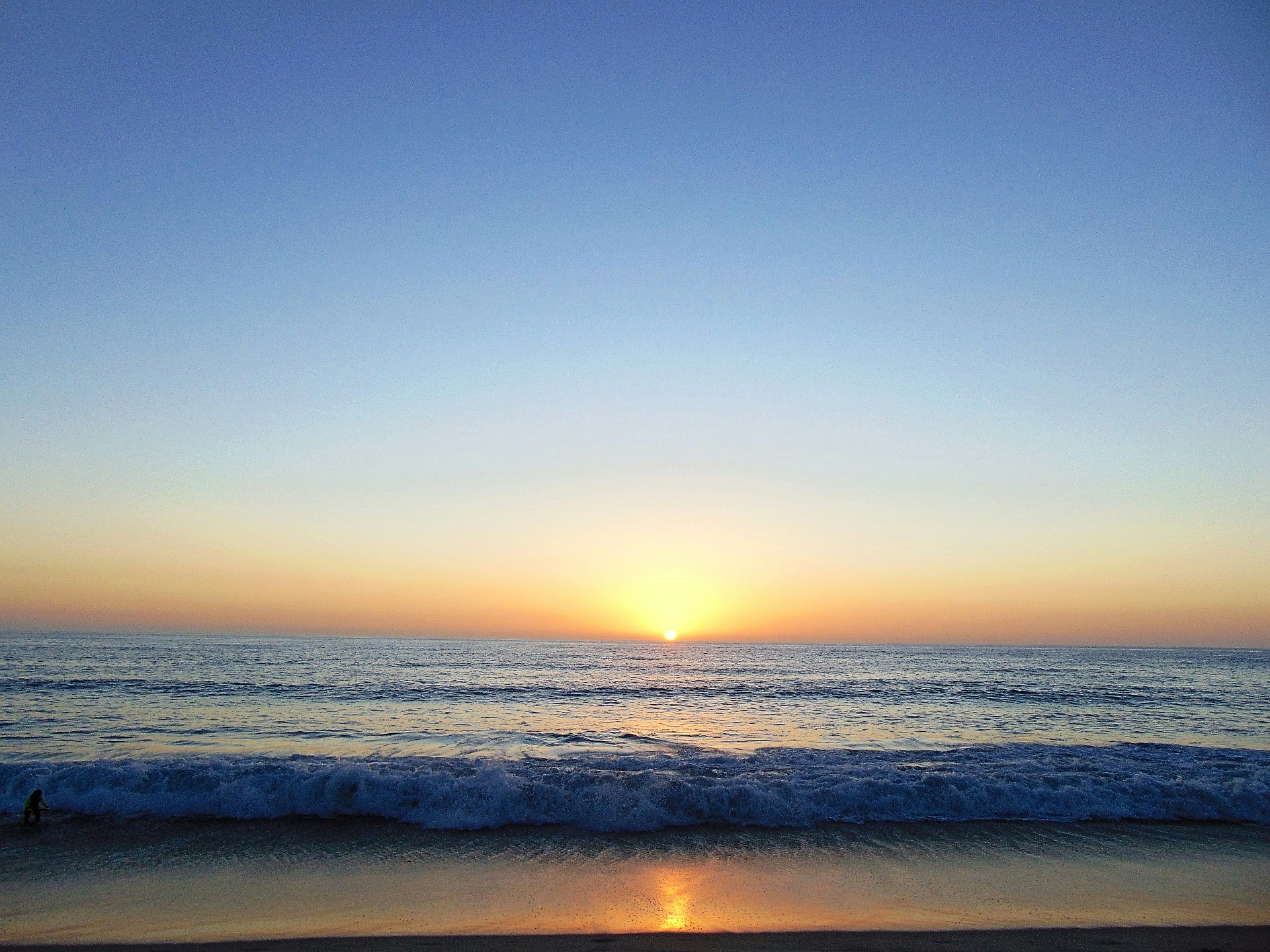 Go to Daisy Devine's profile