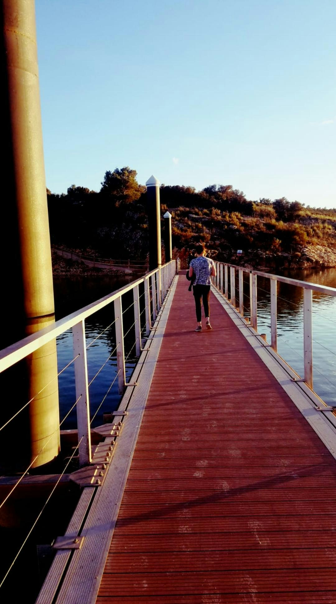 Go to Tortue D_O's profile