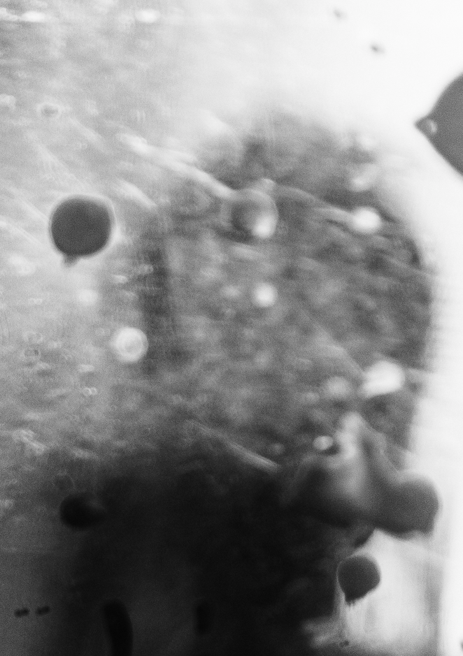 Go to Jent Jiang's profile