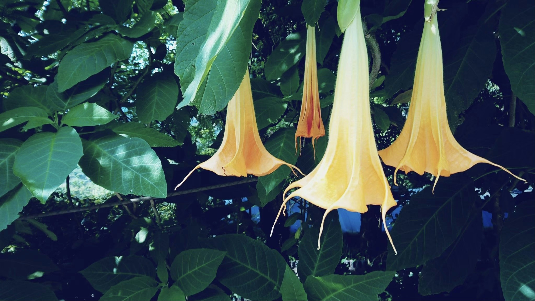 Noor Zhou의 프로필로 이동