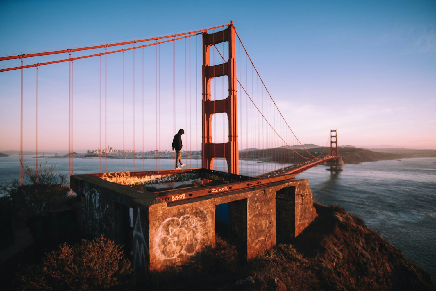 Go to Chris Leipelt's profile