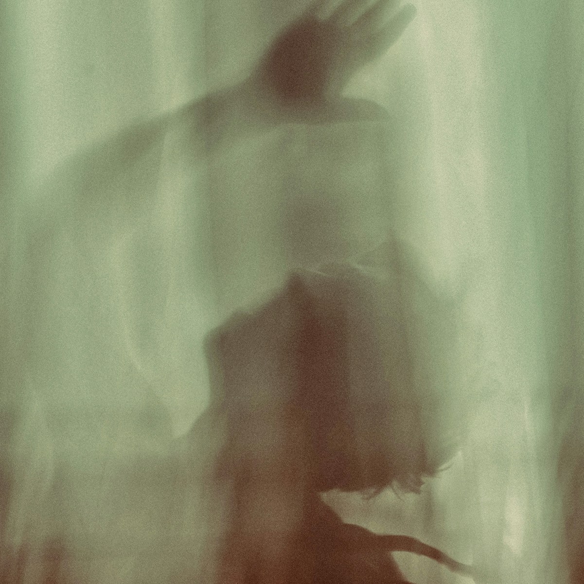 Go to Omid Armin's profile