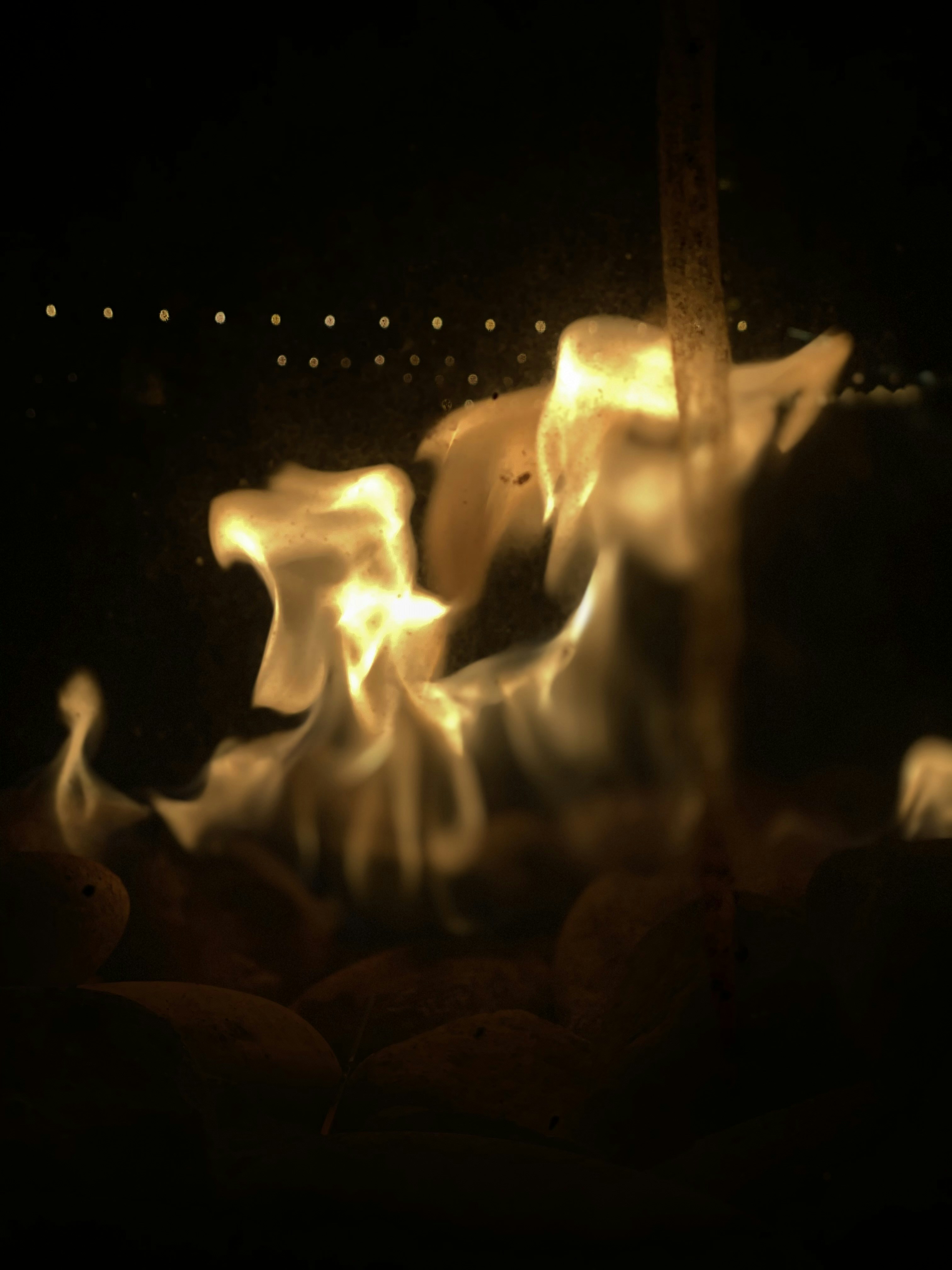 Go to Noah M's profile