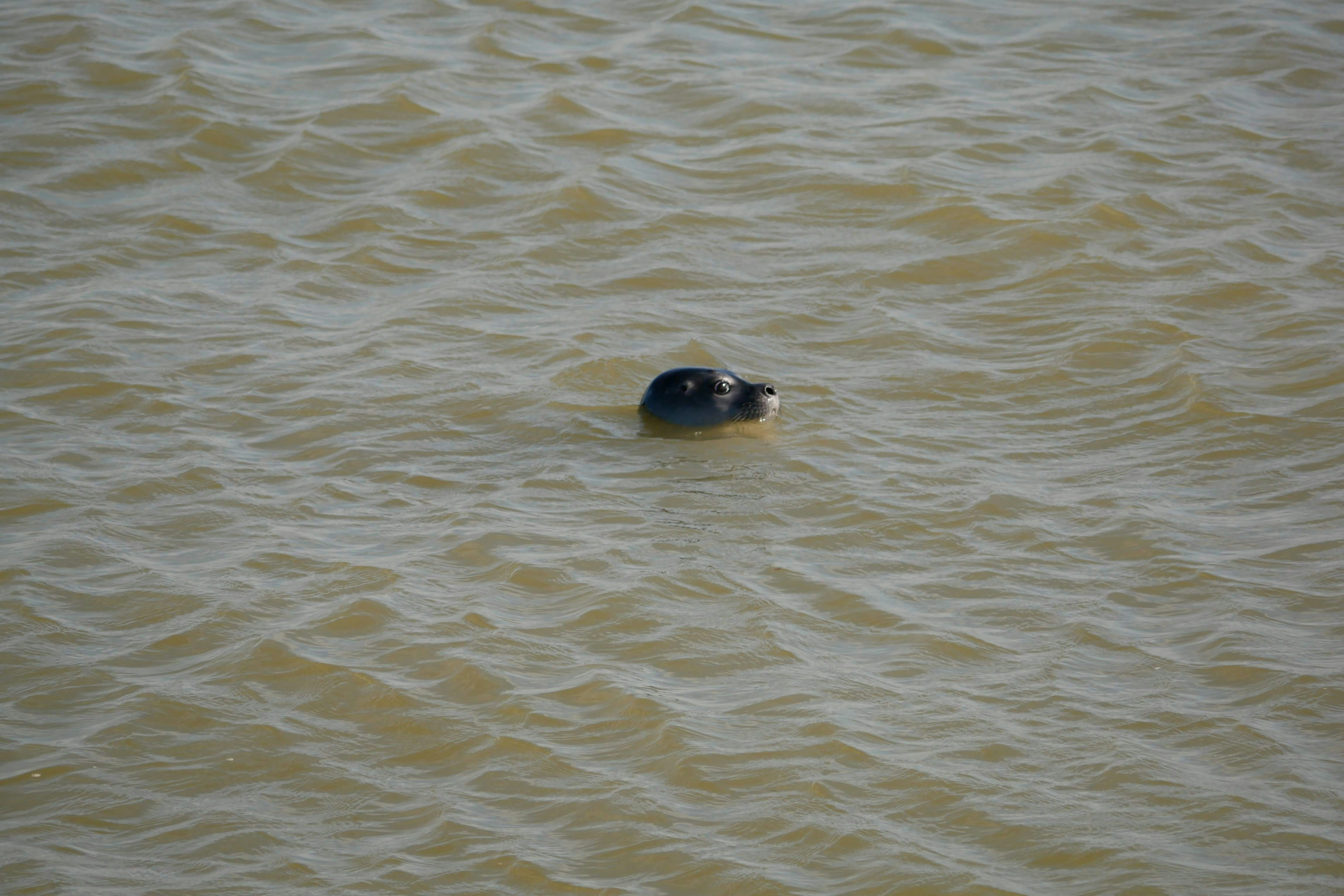 Go to MM Stations's profile