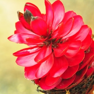 Go to Adrienne Merritt's profile