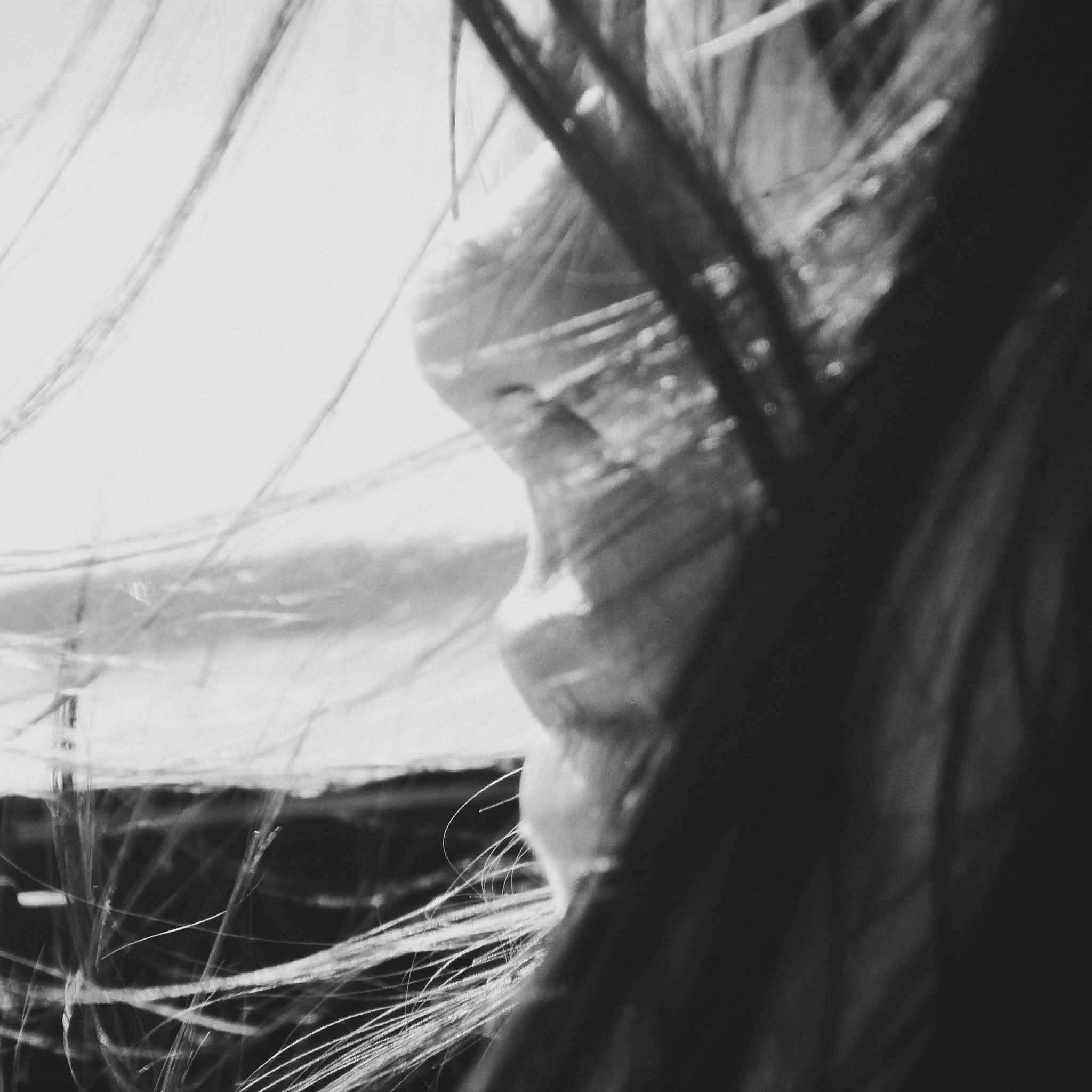 Go to Caroline Figueiredo's profile