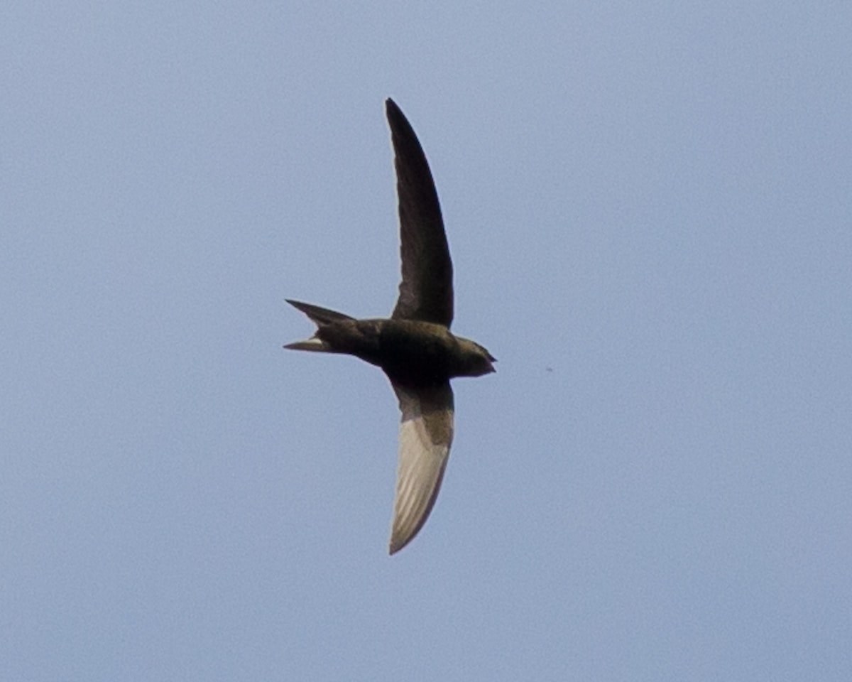 Go to valentin hintikka's profile