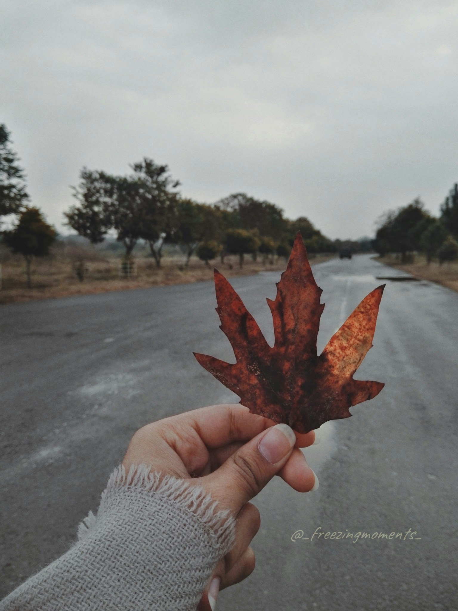 Go to Zahra Tahir's profile