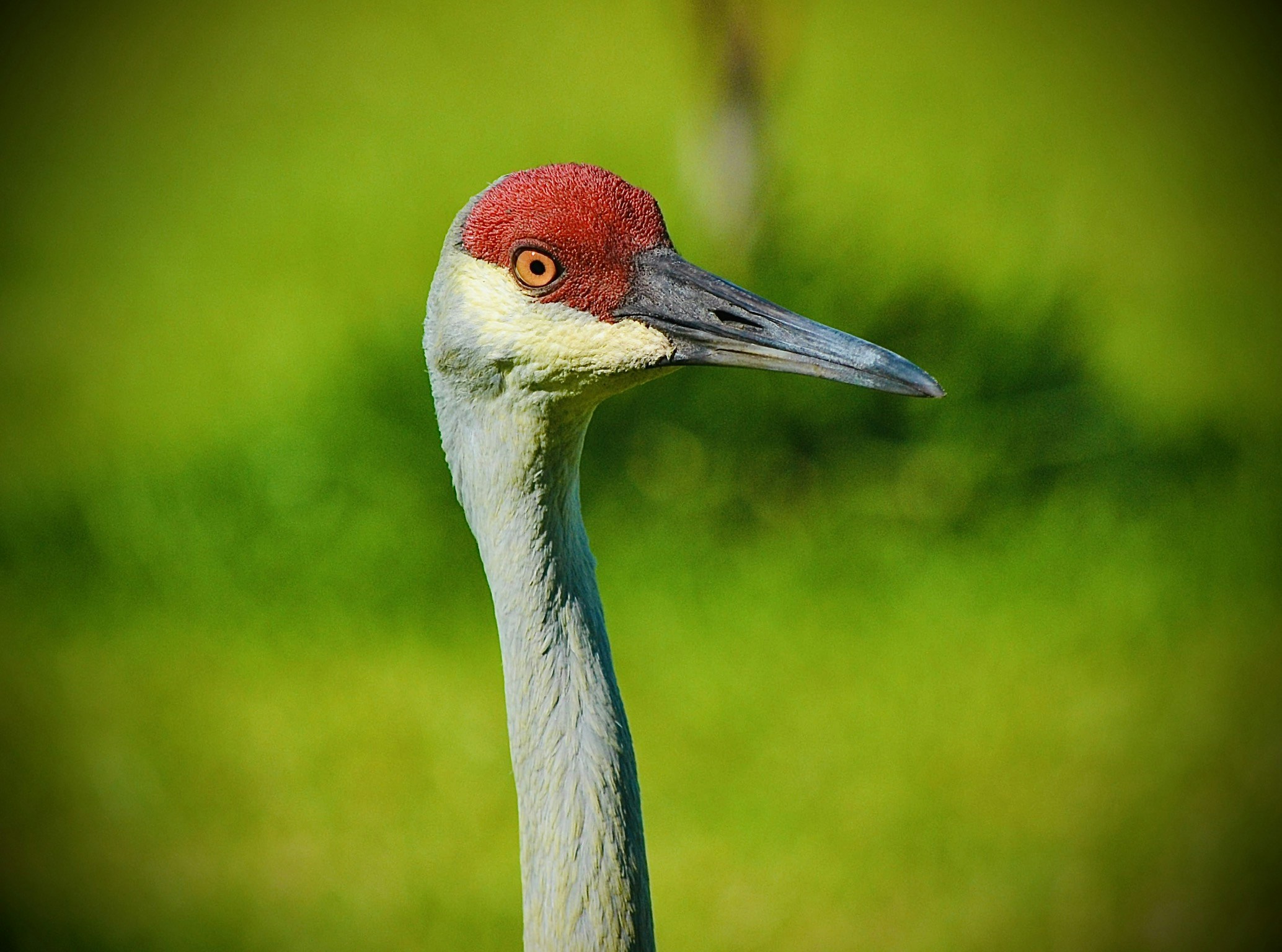 Avatar of user Sean Michael