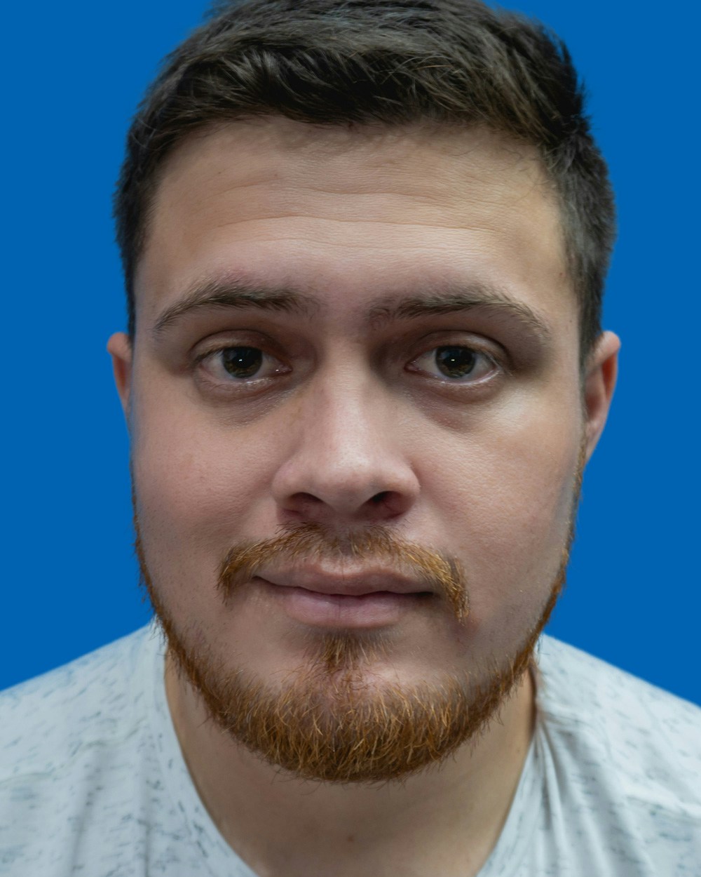 Go to Guillermo Diaz's profile