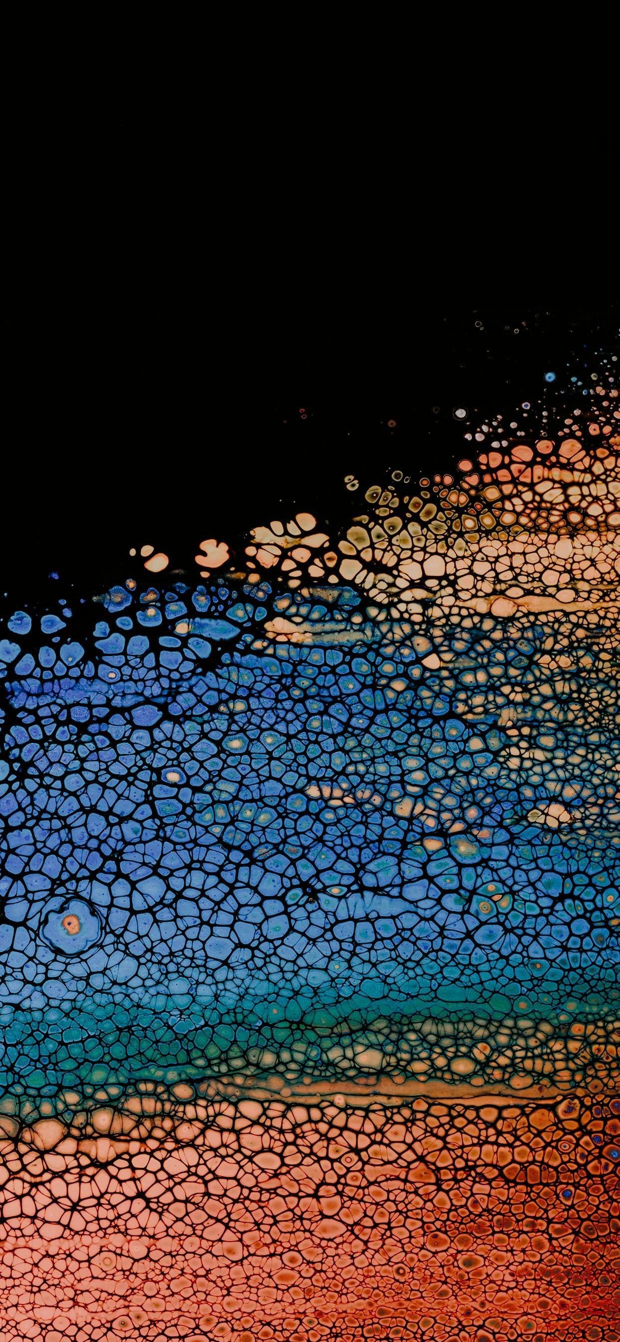 Go to Nicolás Velázquez de Orbegoso's profile