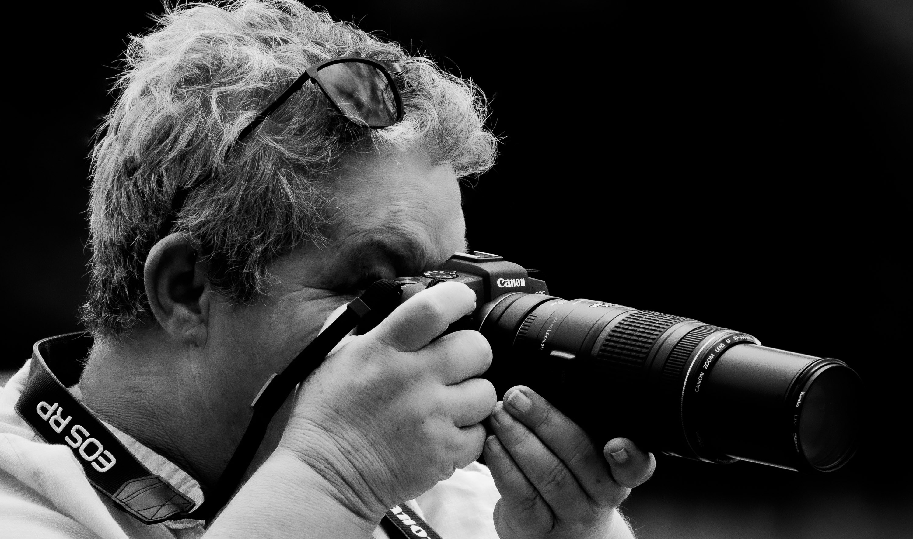 Zum Profil von Dianne Gibson