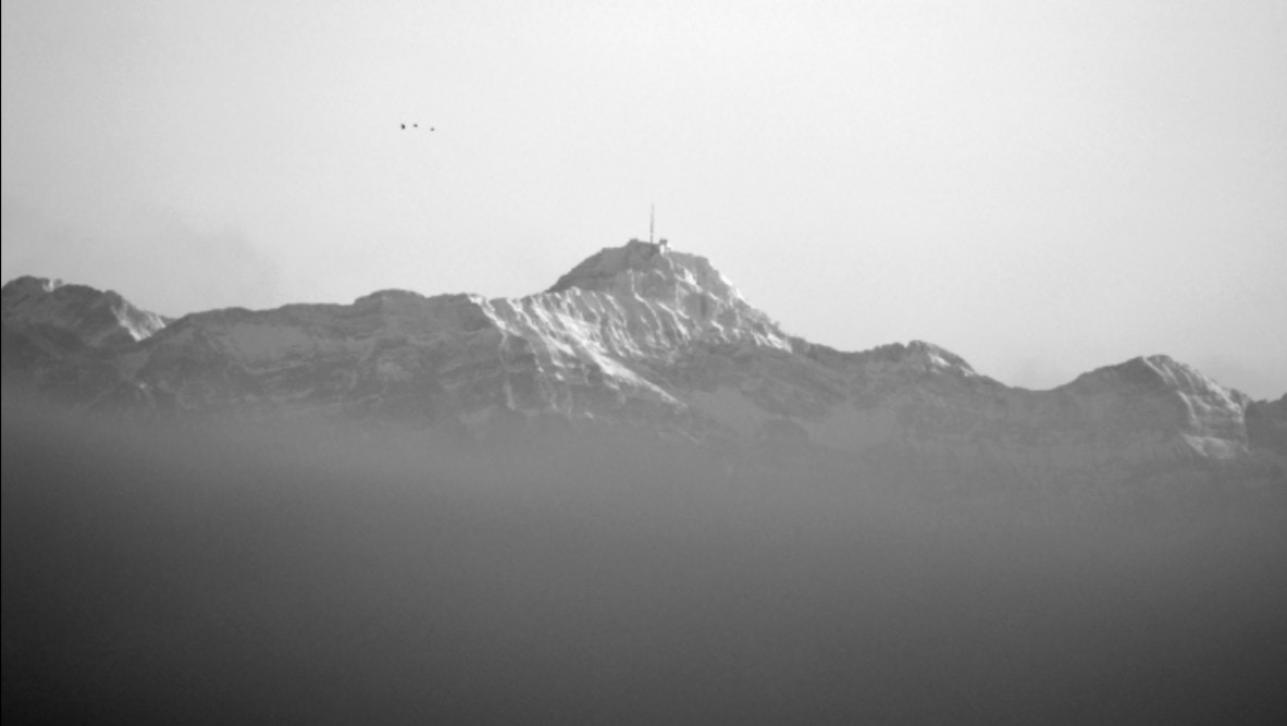 Go to Niklas Stumpf's profile