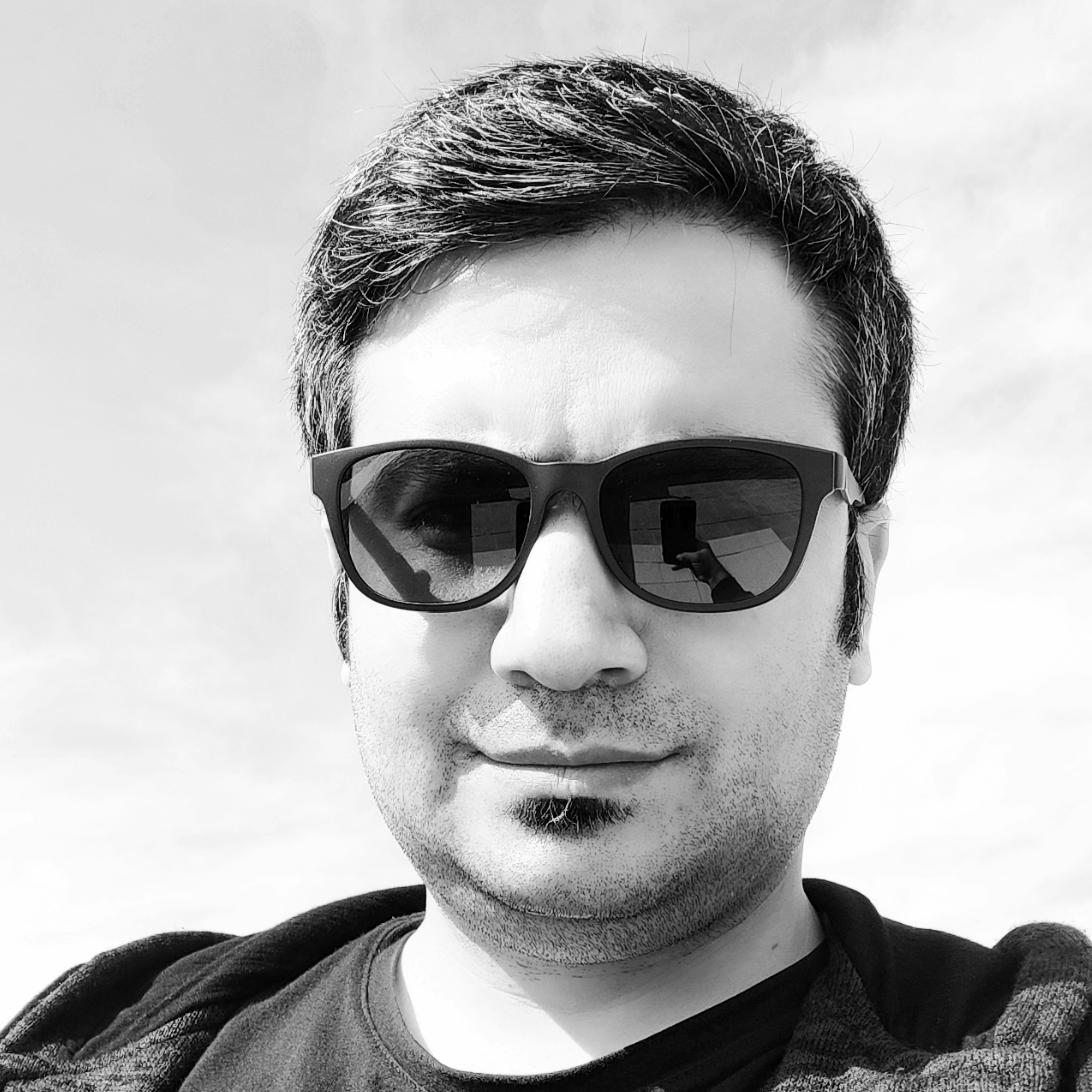 Zum Profil von Saeid Tabardar