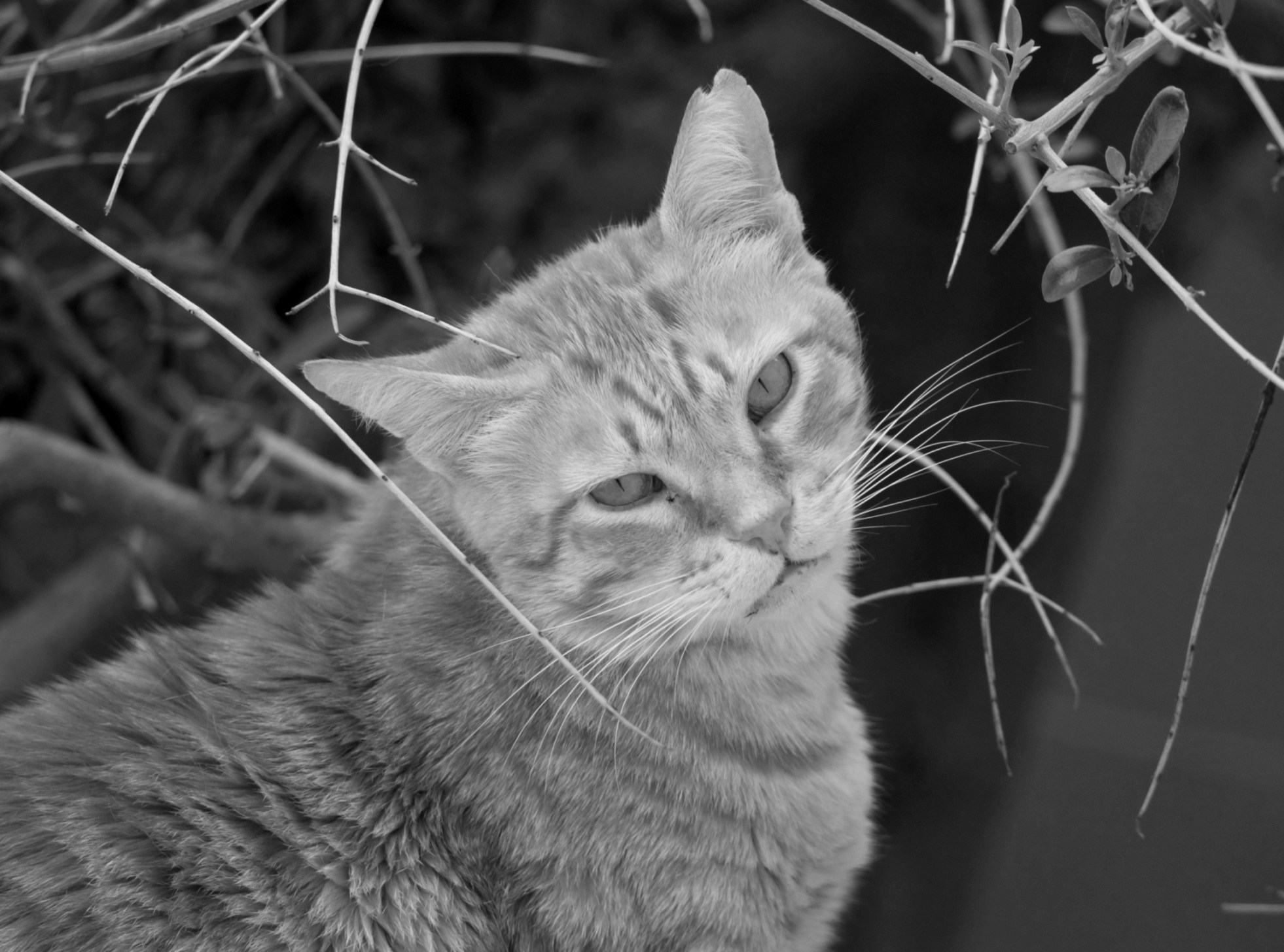 Go to Fernando Vega's profile