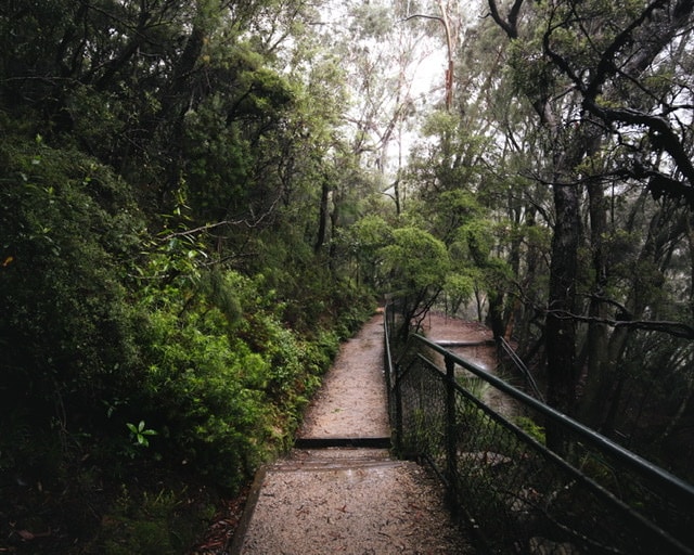 Go to Liam Drinan's profile