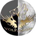 Avatar of user Volfangel