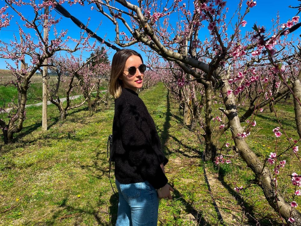 Go to Clarisse Dsbt's profile