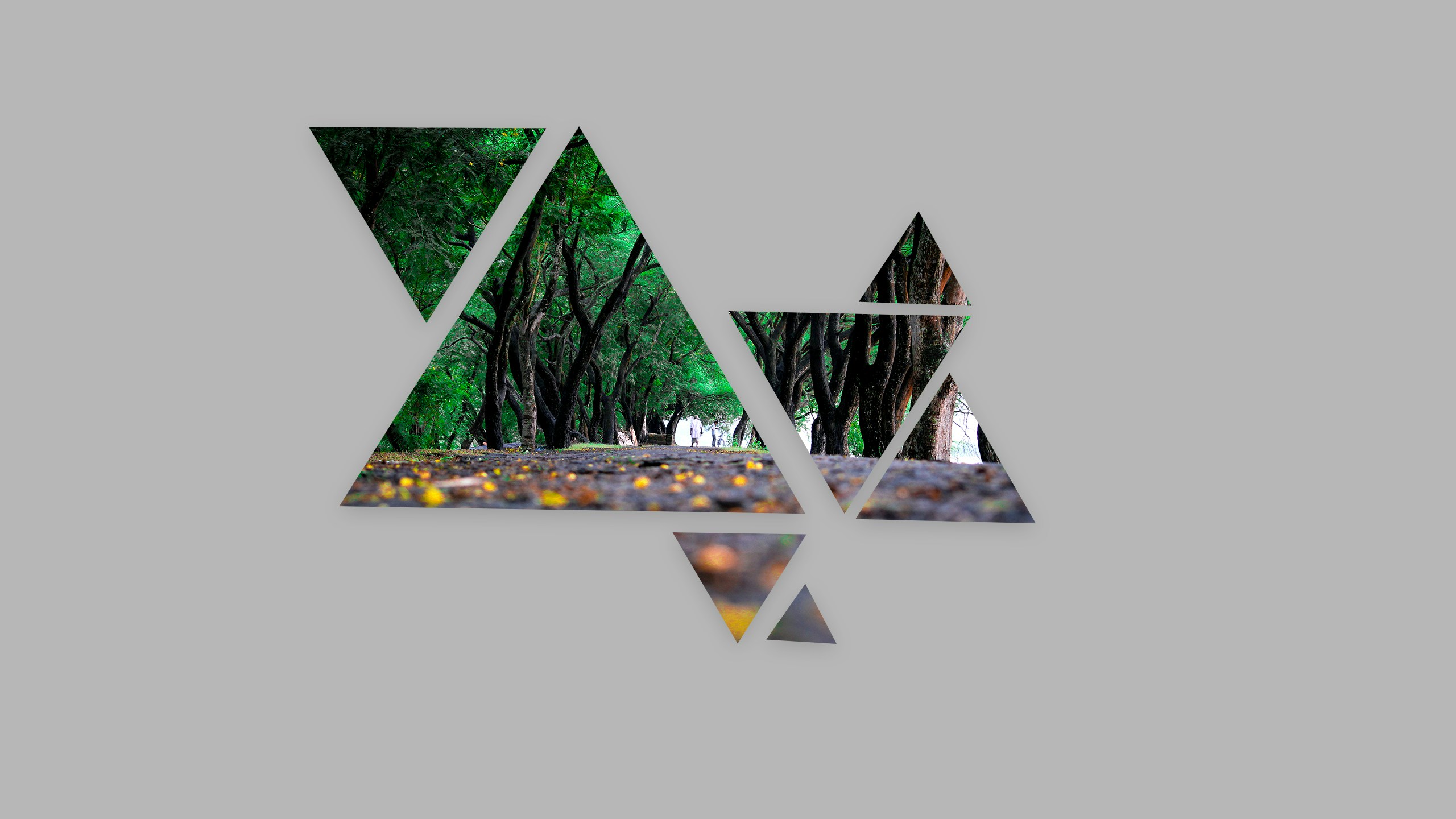 Accéder au profil de Arijit M