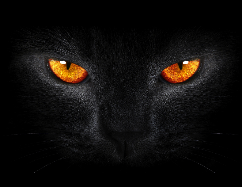 Go to mike liu's profile