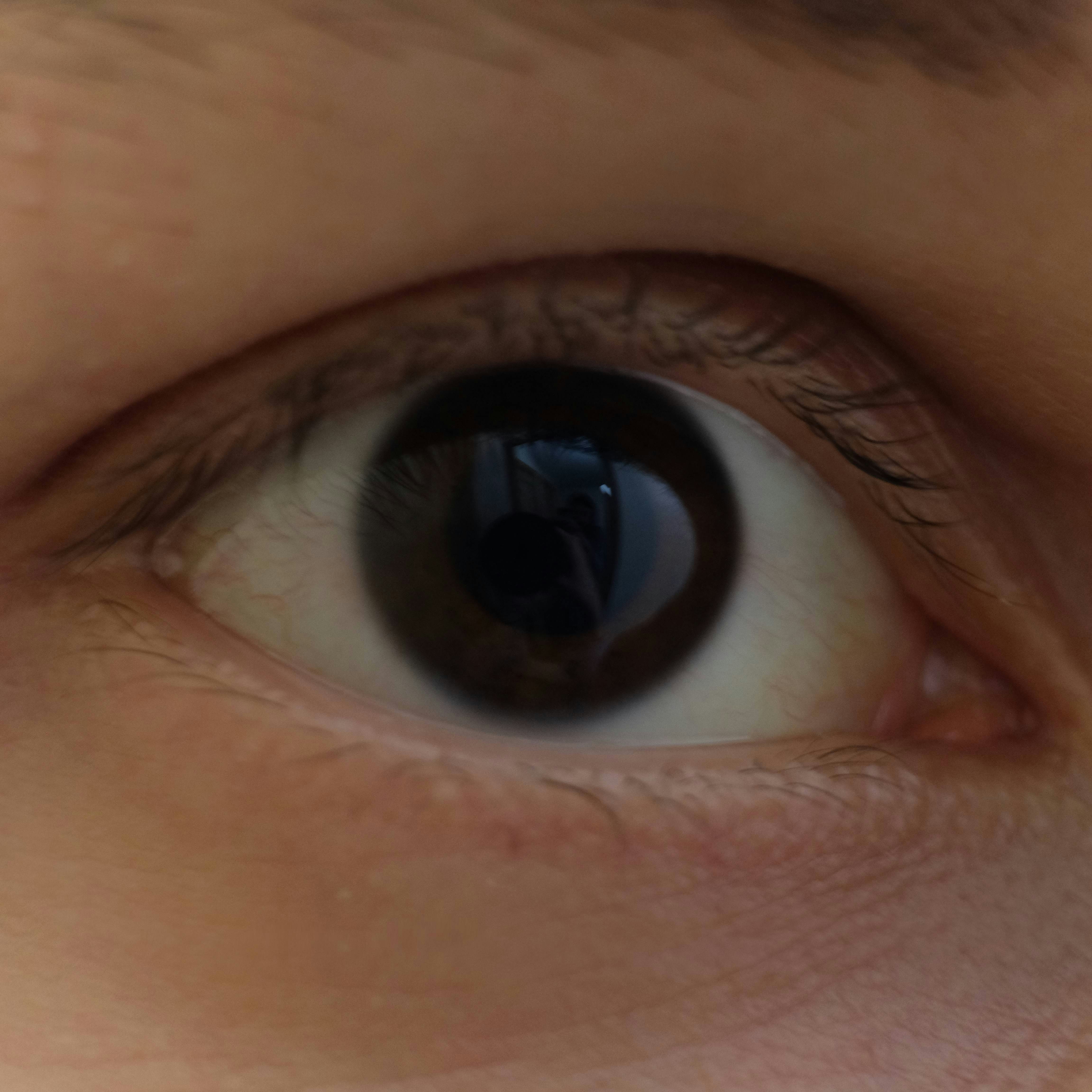 Avatar of user Zara Lazarov