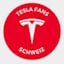 Avatar of user Tesla Fans Schweiz