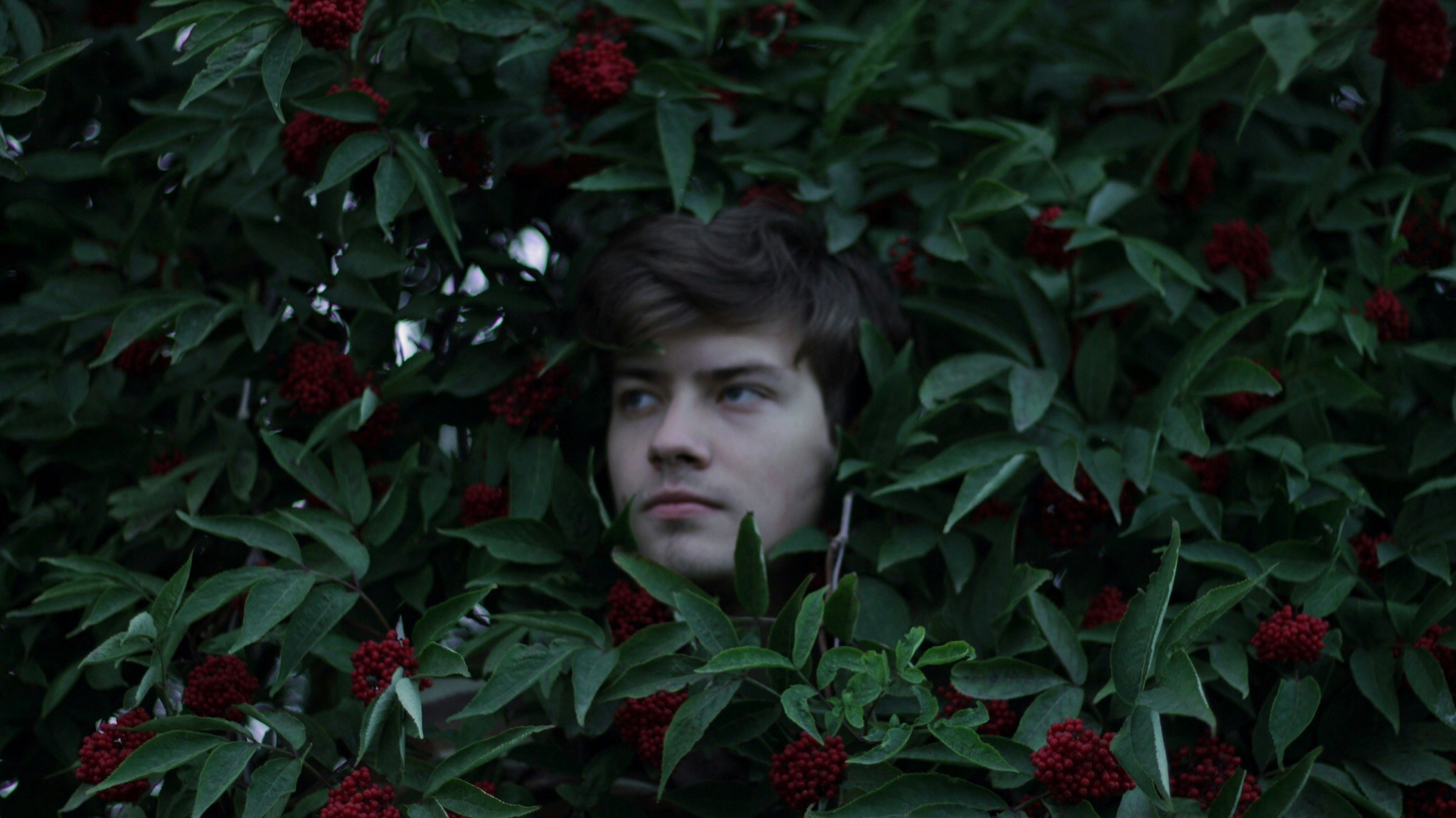 Go to Artem Gilmutdinov's profile