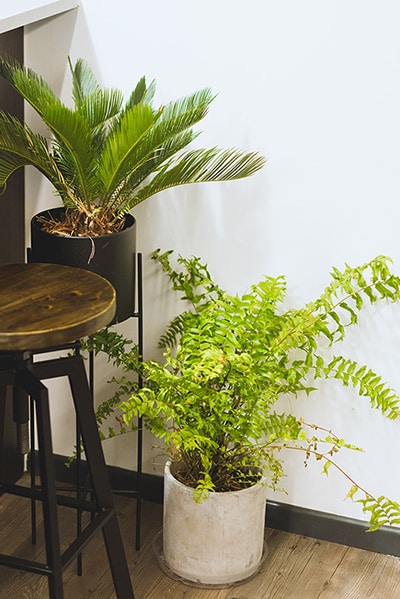 Ve al perfil de Grünraum