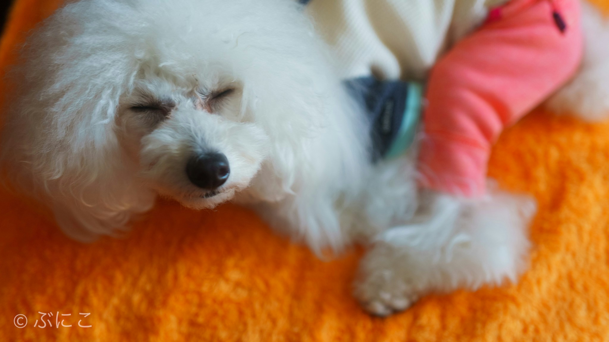 Go to Richard Iwaki's profile