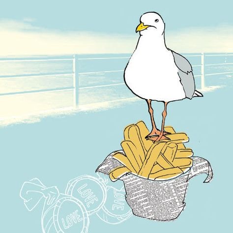 Ir para o perfil de Robert Cook