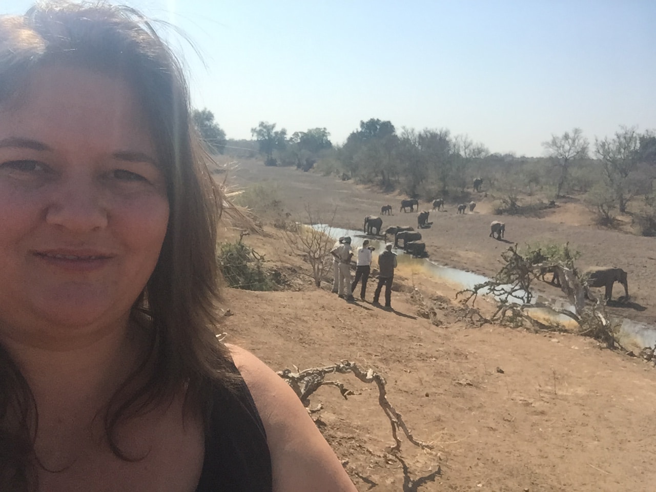 Go to Claire Roadley's profile