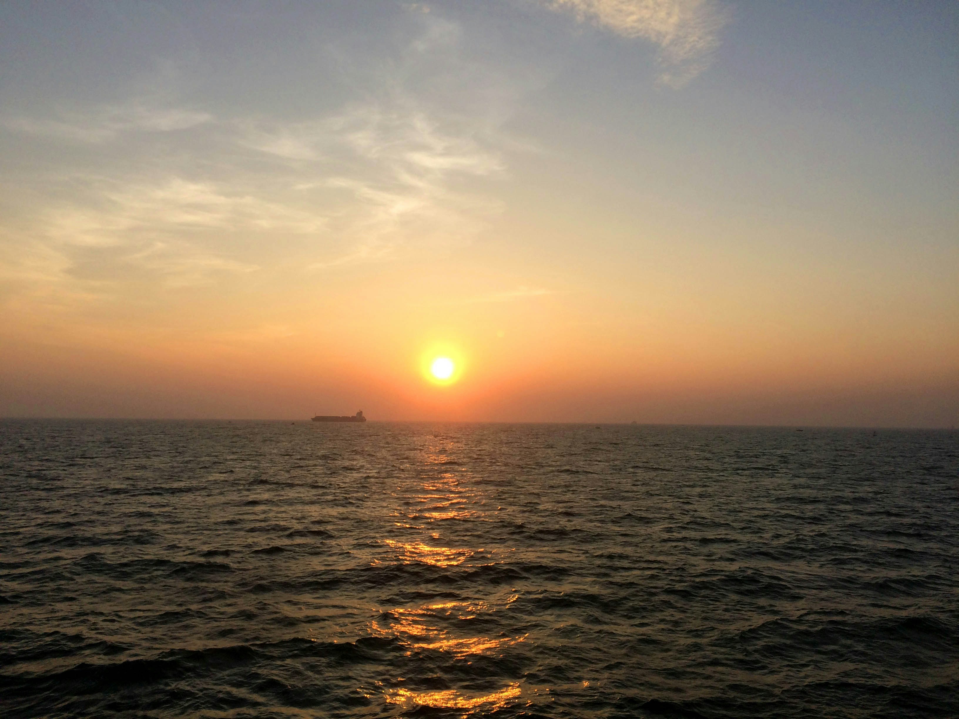 wen panda의 프로필로 이동