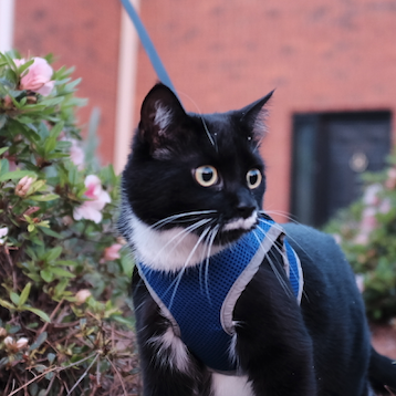 Go to Isis Pan's profile