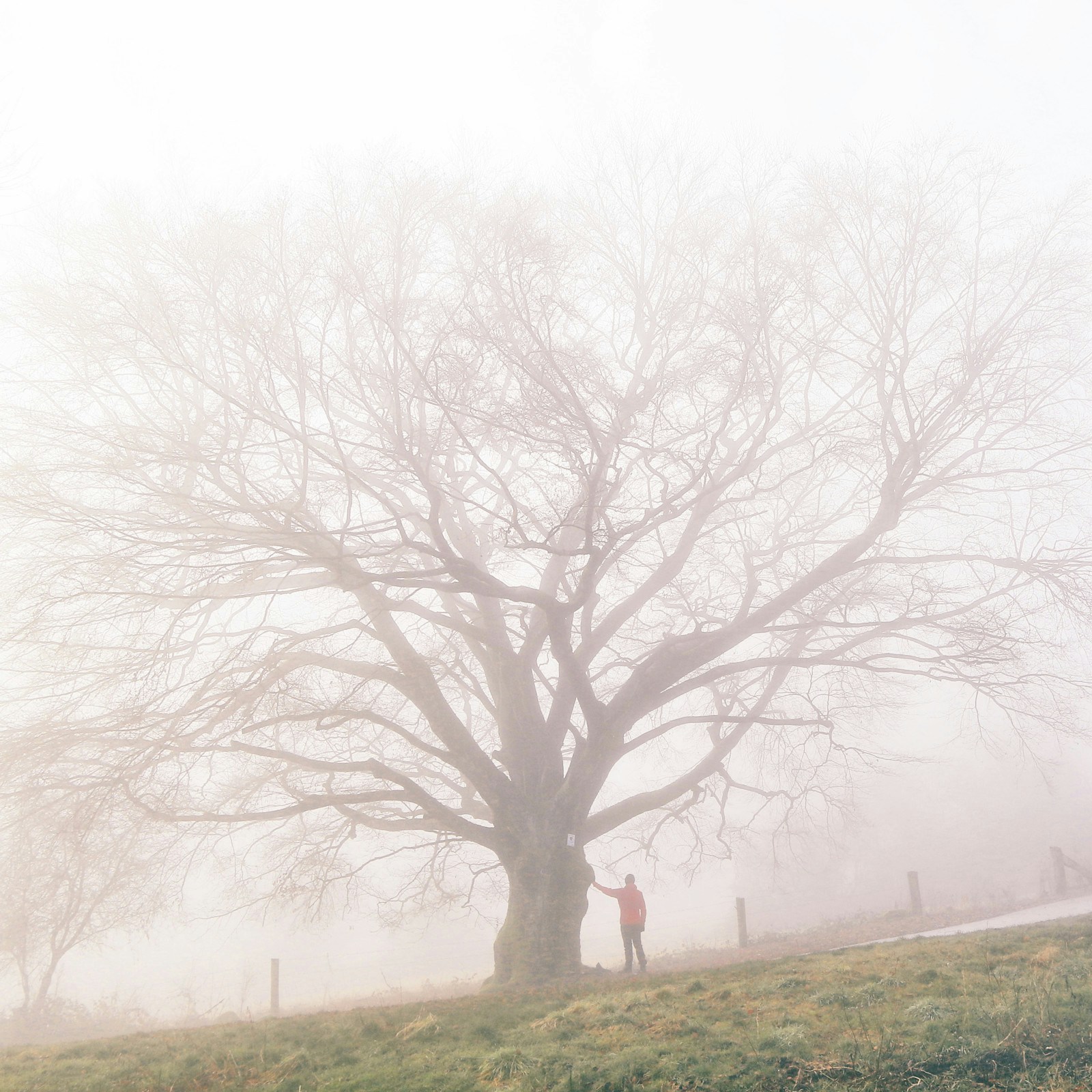 Ir para o perfil de Pascal Dihé