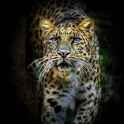 Zum Profil von Sammy Wong