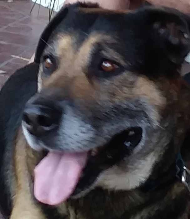 Go to Larry Waters's profile