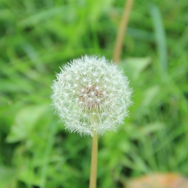 Stark Tronのプロフィールを見る