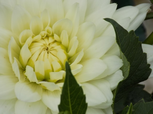 Go to Helen Potter's profile