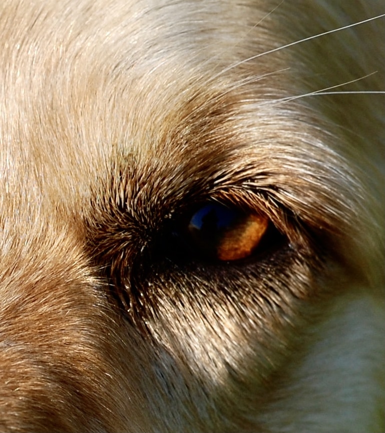 Go to Birgit Steven-Lahno's profile